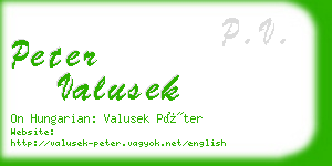 peter valusek business card